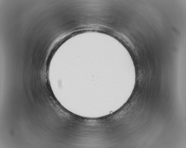 X0000110931172200907301617