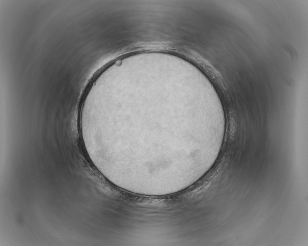 X0000110931174200907301617