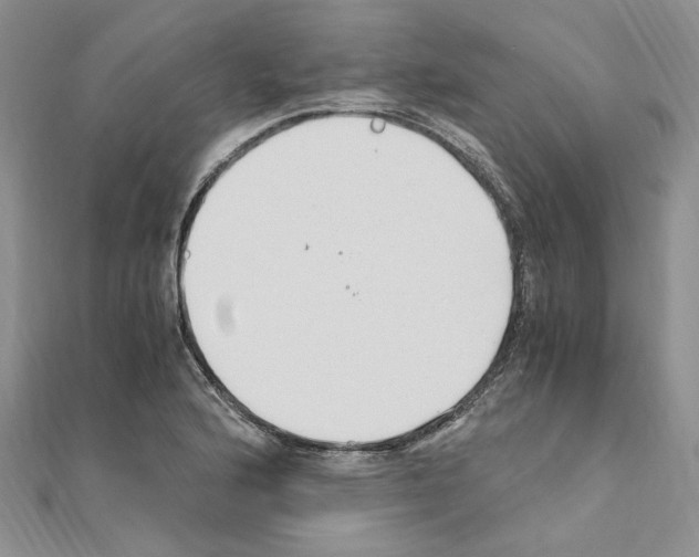 X0000110931176200907301617