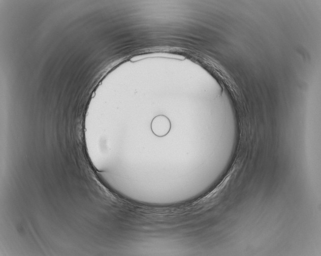 X0000110931177200907301617
