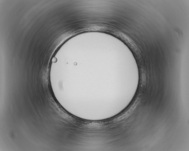 X0000110931178200907301617