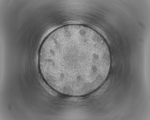 X0000110931179200907301617