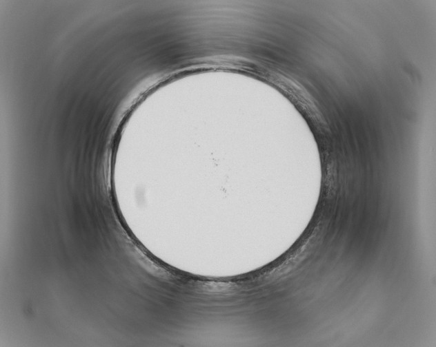 X0000110931180200907301617