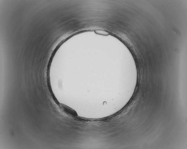 X0000110931181200907301617