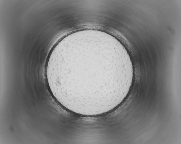 X0000110931182200907301617