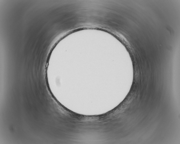X0000110931183200907301617