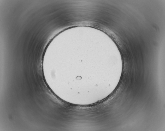 X0000110931184200907301617