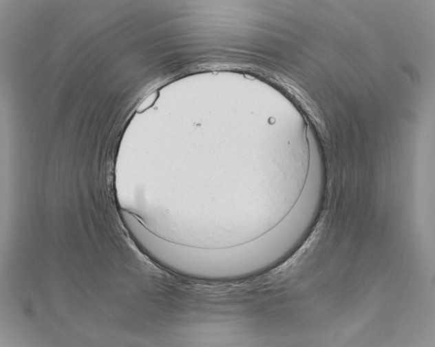 X0000110931185200907301617
