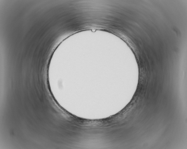 X0000110931187200907301617