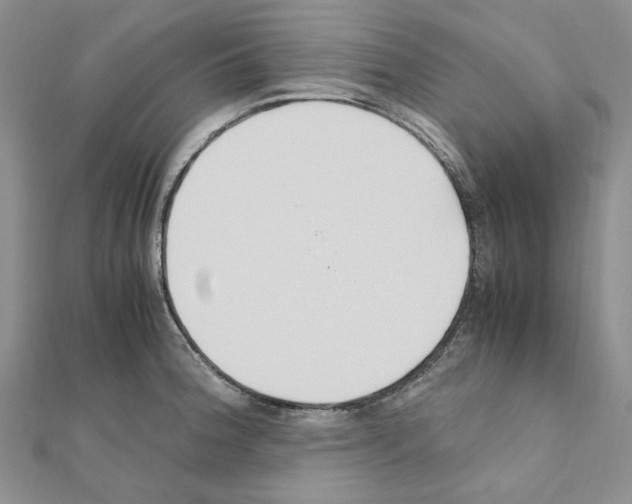 X0000110931188200907301617