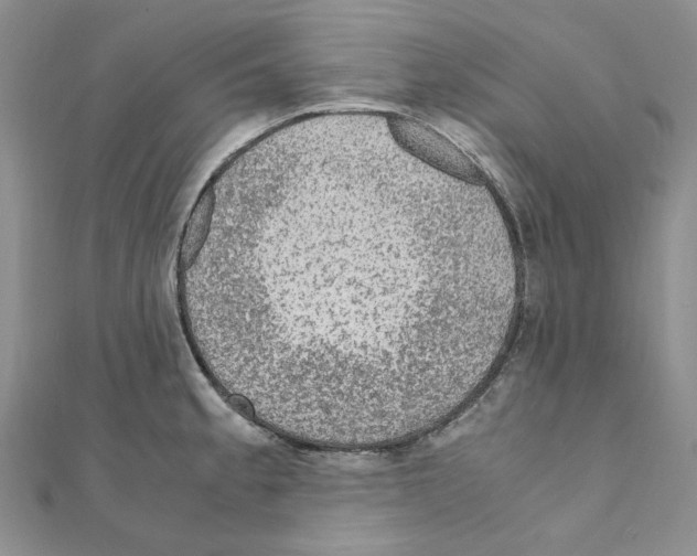X0000110931189200907301617