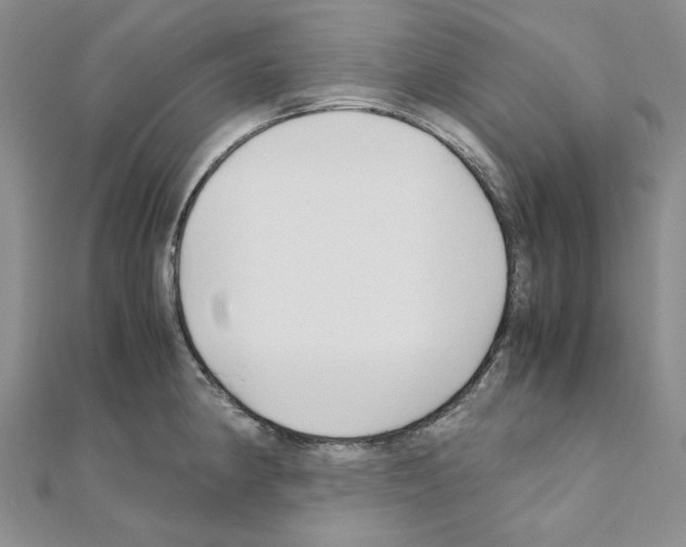 X0000110931190200907301617
