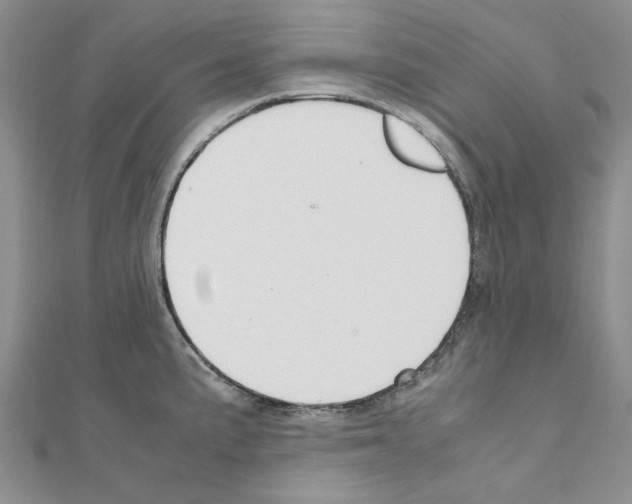 X0000110931191200907301617