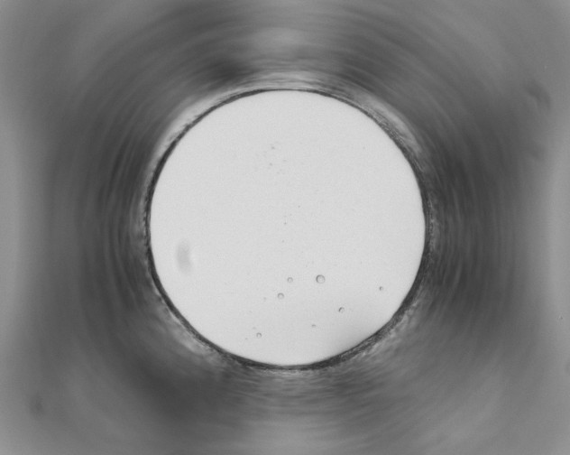 X0000110931192200907301617