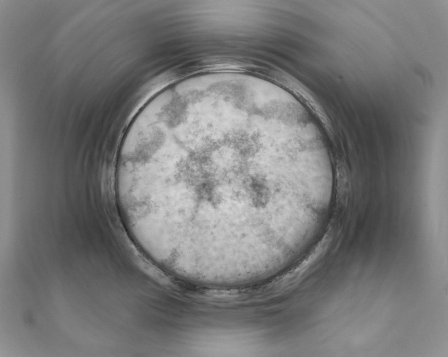 X0000110931194200907301617