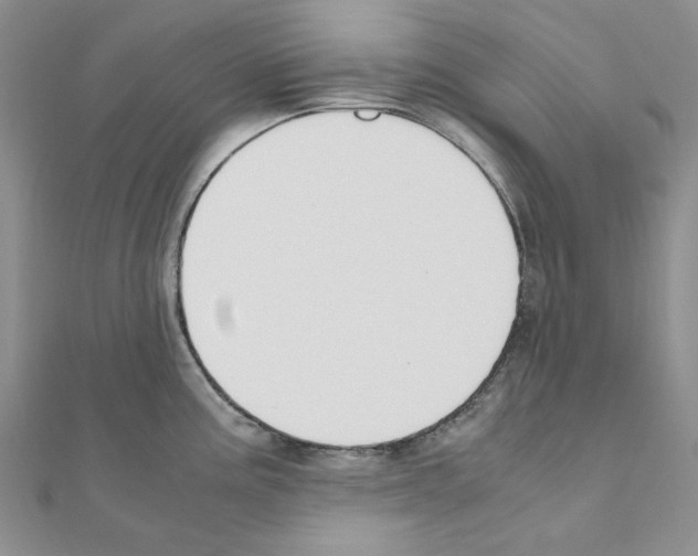 X0000110931195200907301617