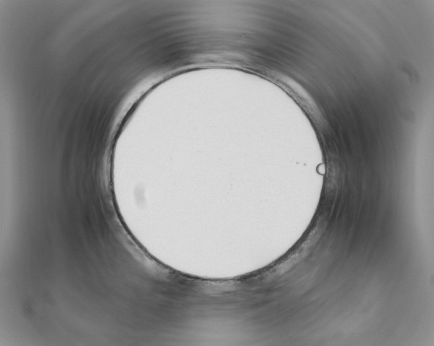 X0000110931196200907301617