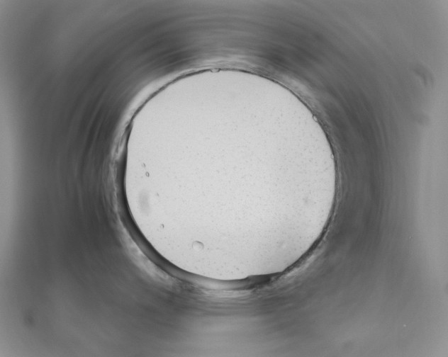 X0000110931200200907301617