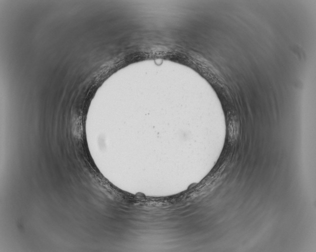 X0000110931204200907301616