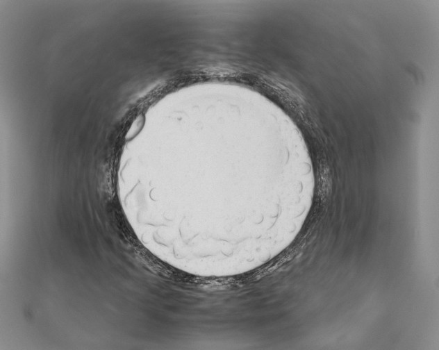 X0000110931205200907301616