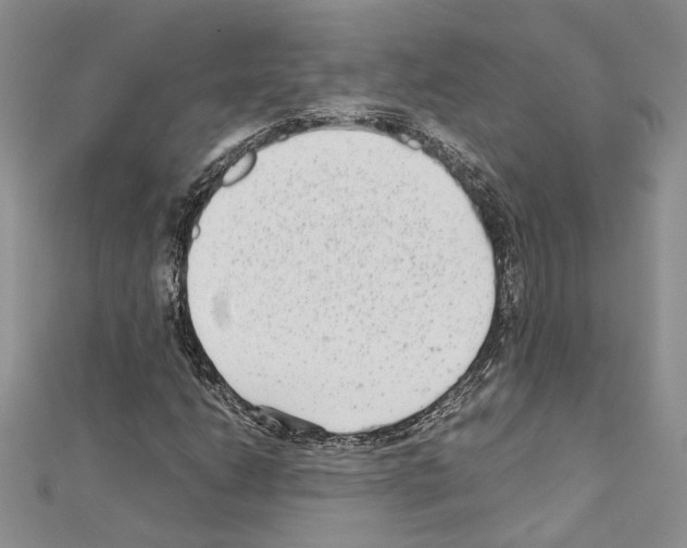 X0000110931206200907301616