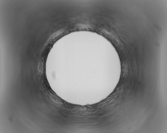X0000110931207200907301616