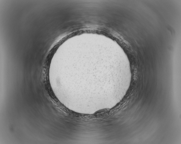 X0000110931208200907301616