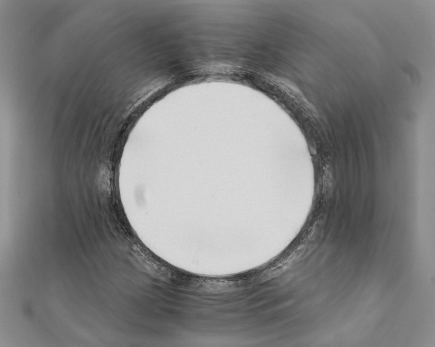 X0000110931209200907301616