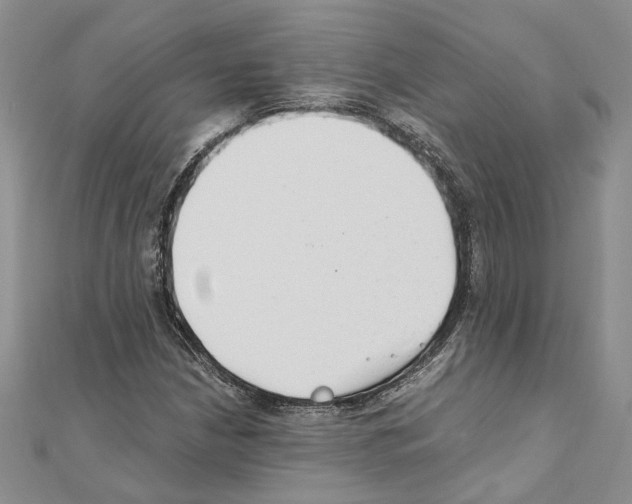 X0000110931210200907301616