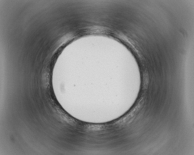 X0000110931211200907301616