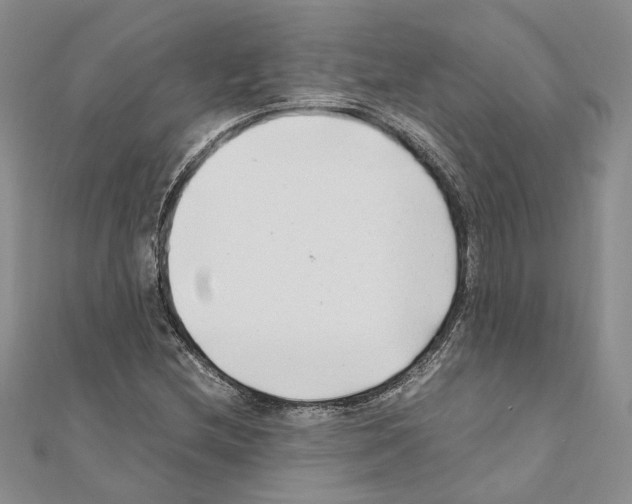 X0000110931212200907301616