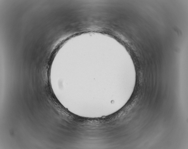 X0000110931214200907301616