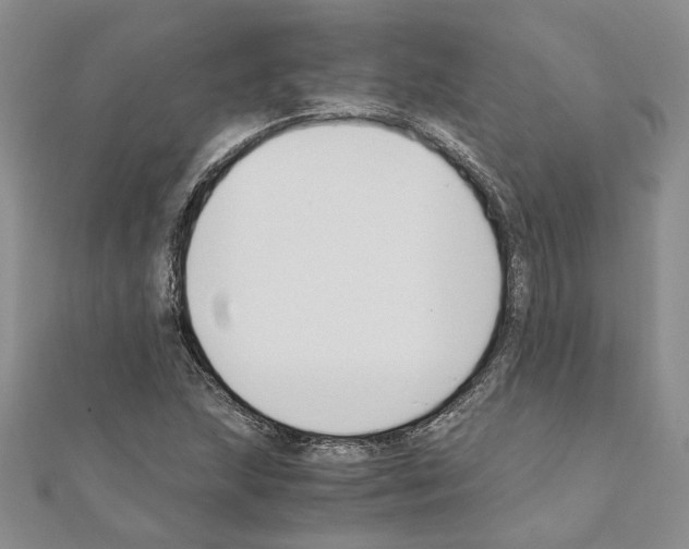 X0000110931215200907301616