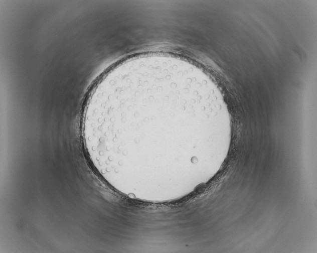 X0000110931216200907301616