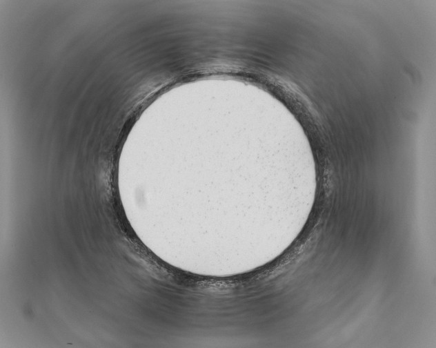 X0000110931217200907301616