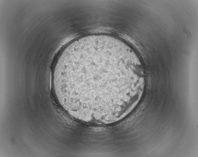 X0000110931219200907301616