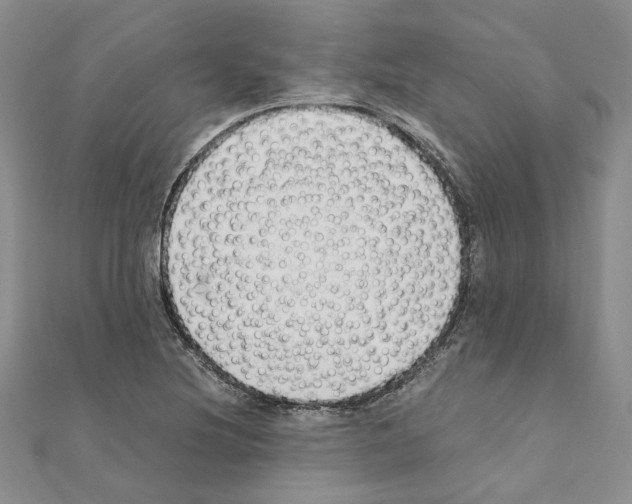 X0000110931220200907301616