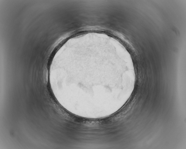 X0000110931221200907301616