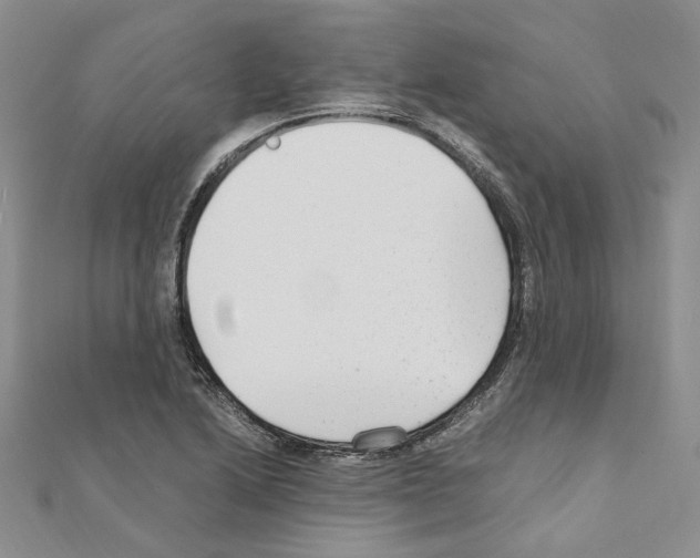 X0000110931222200907301616