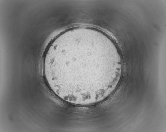 X0000110931223200907301616