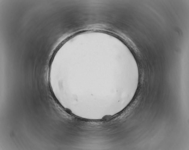 X0000110931224200907301616
