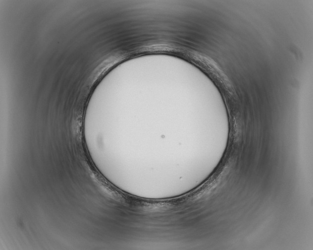 X0000110931225200907301616