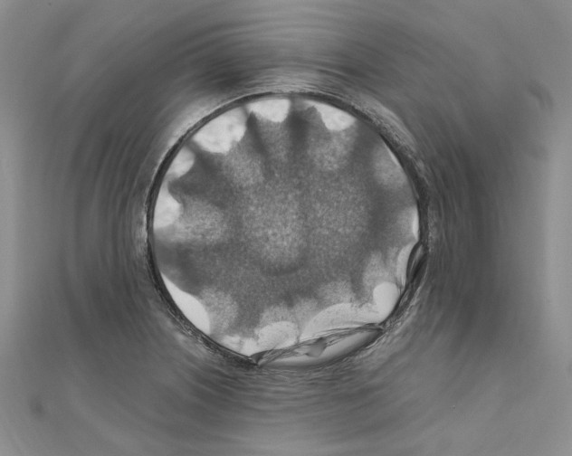 X0000110931226200907301616