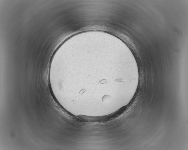X0000110931228200907301616