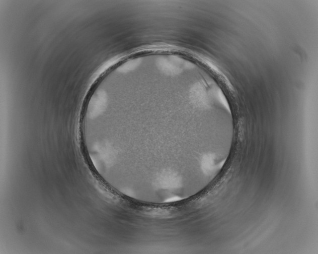 X0000110931229200907301616