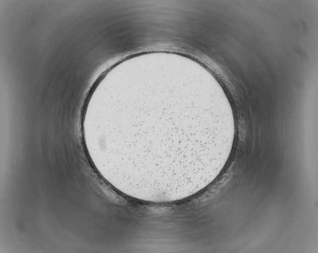 X0000110931230200907301616