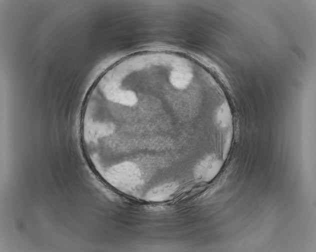 X0000110931231200907301616