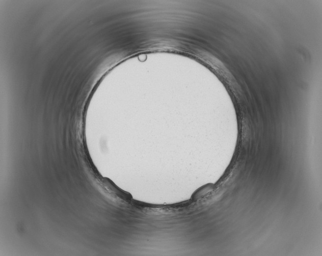 X0000110931234200907301616