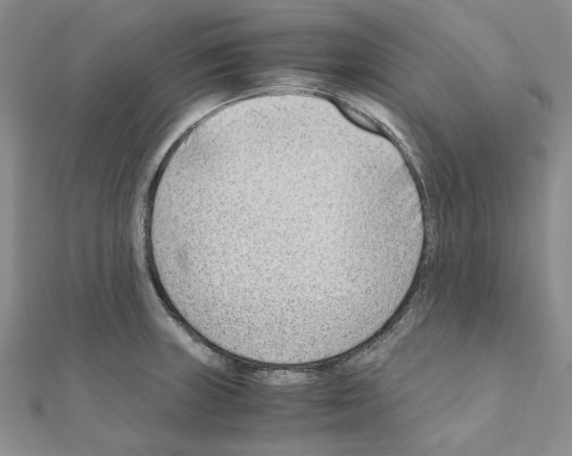 X0000110931235200907301616