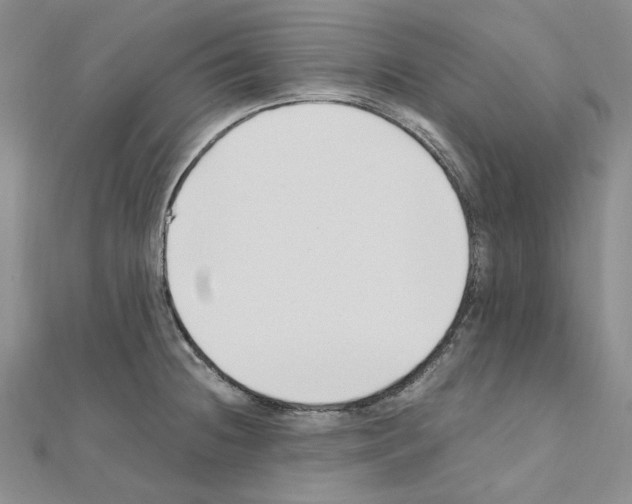 X0000110931236200907301616